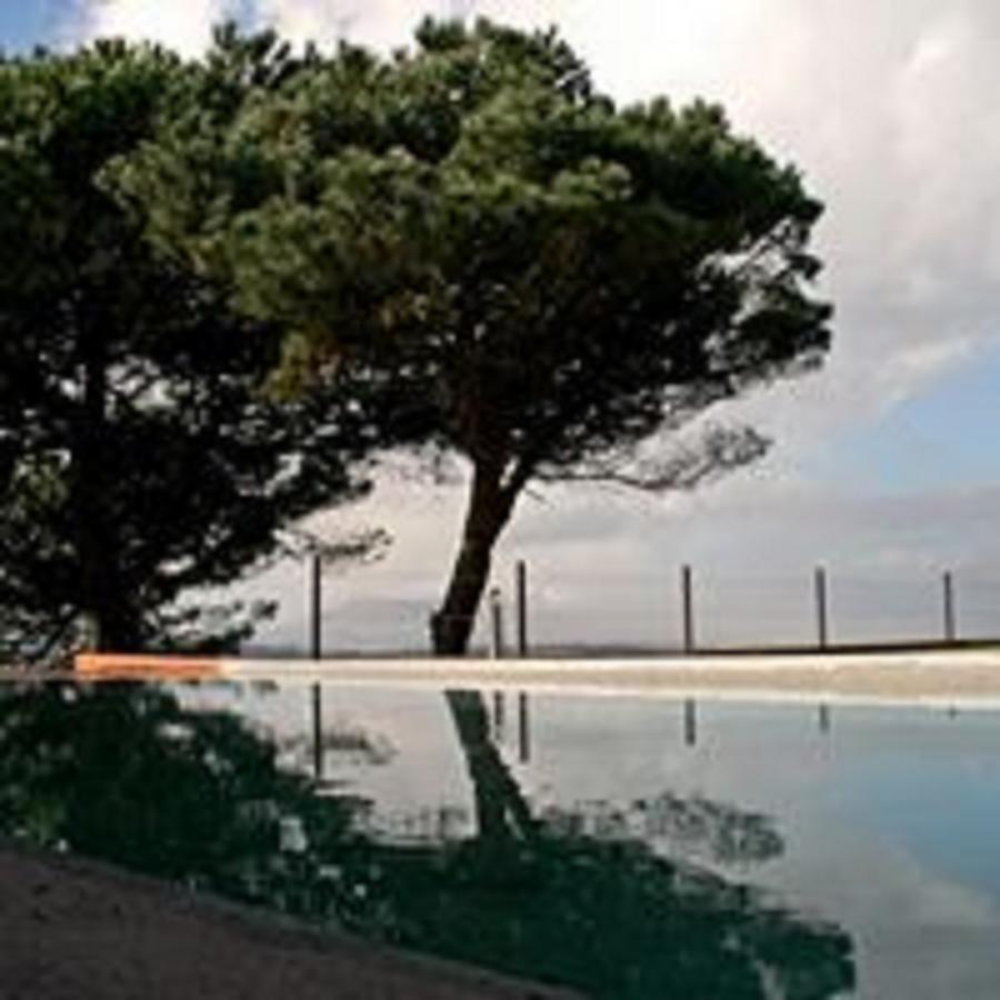 Shepinetree - Pinheira Hotel Vale de Lobos Bagian luar foto